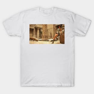 Tomb raider souvenir T-Shirt